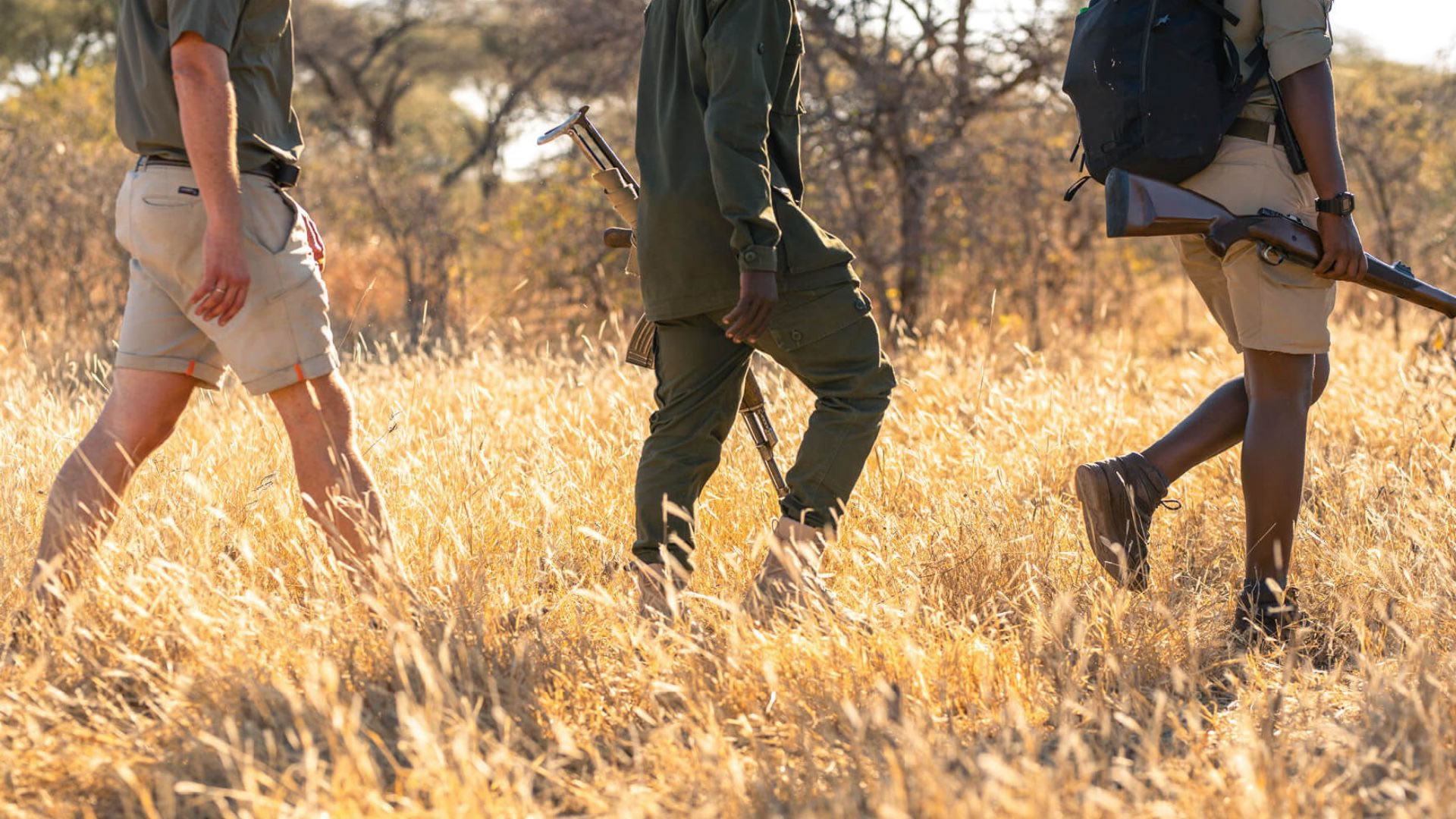 Grounded Bush Encounters