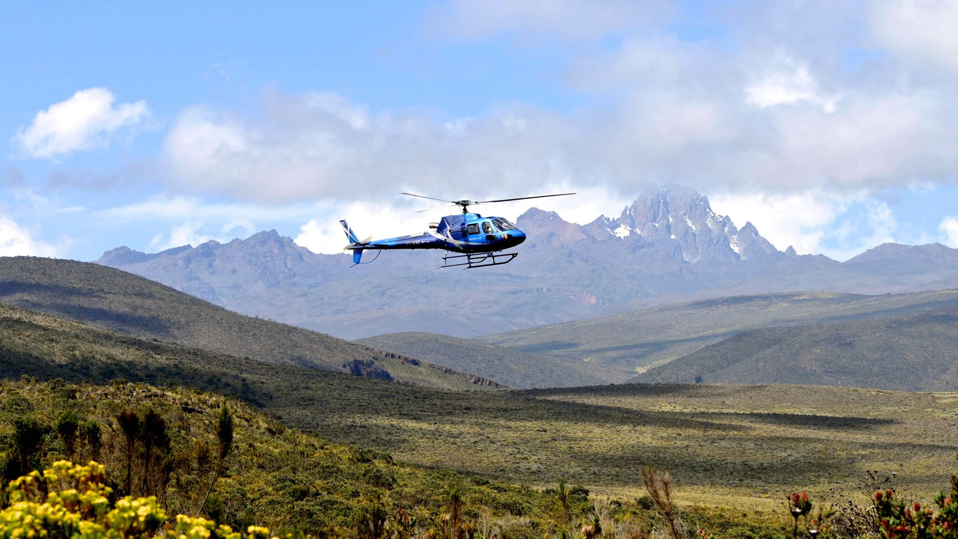 Rhino Tracking Experience