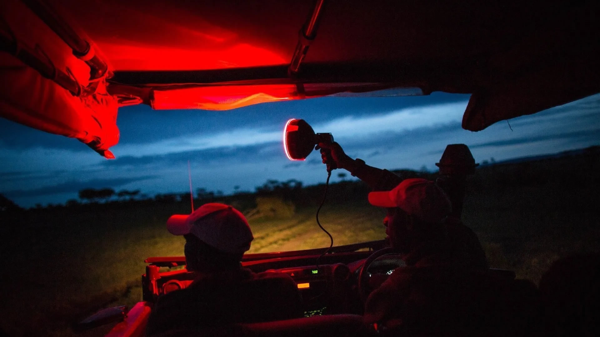 Wild Africa by Night