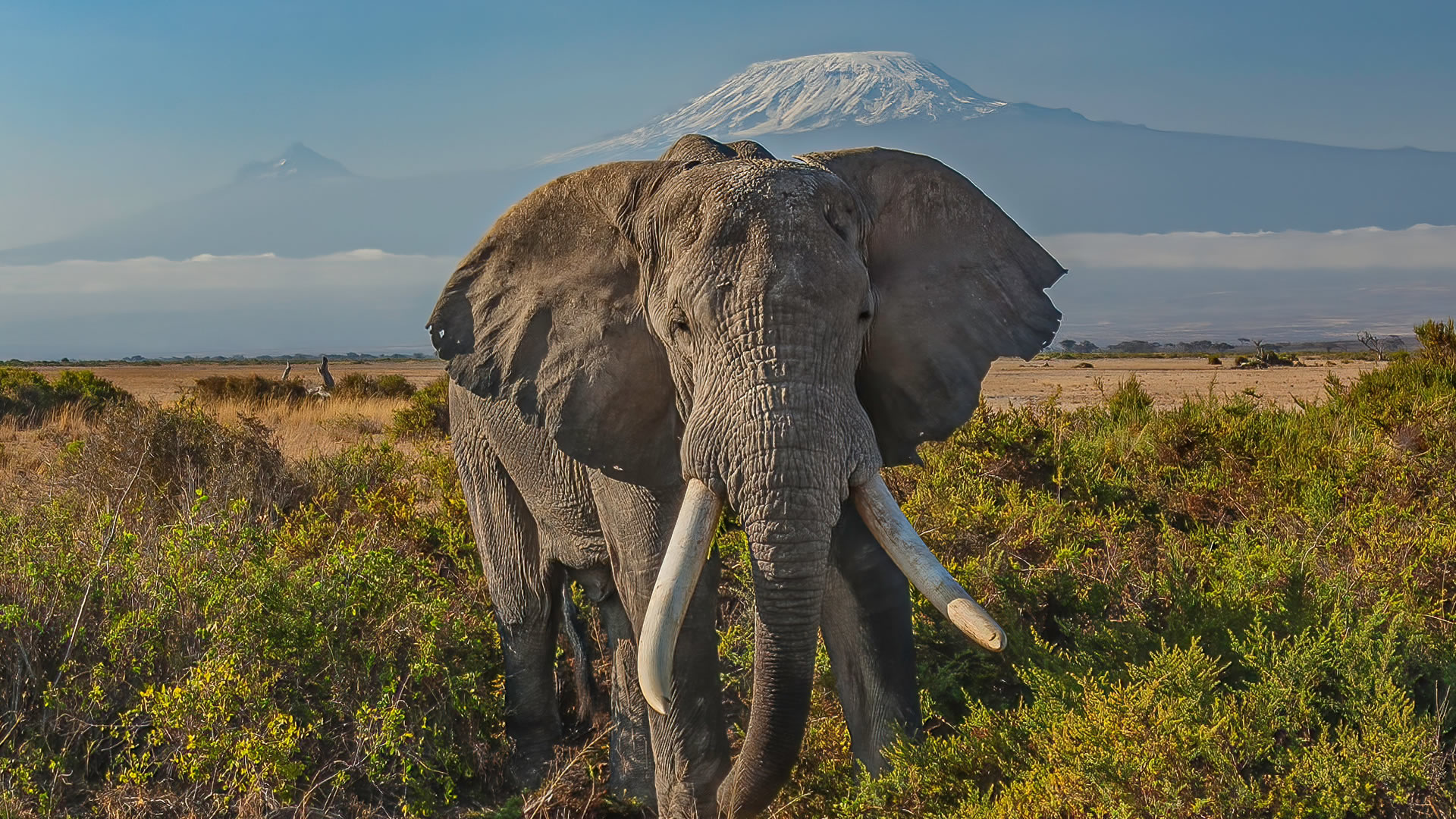 Amboseli National Park