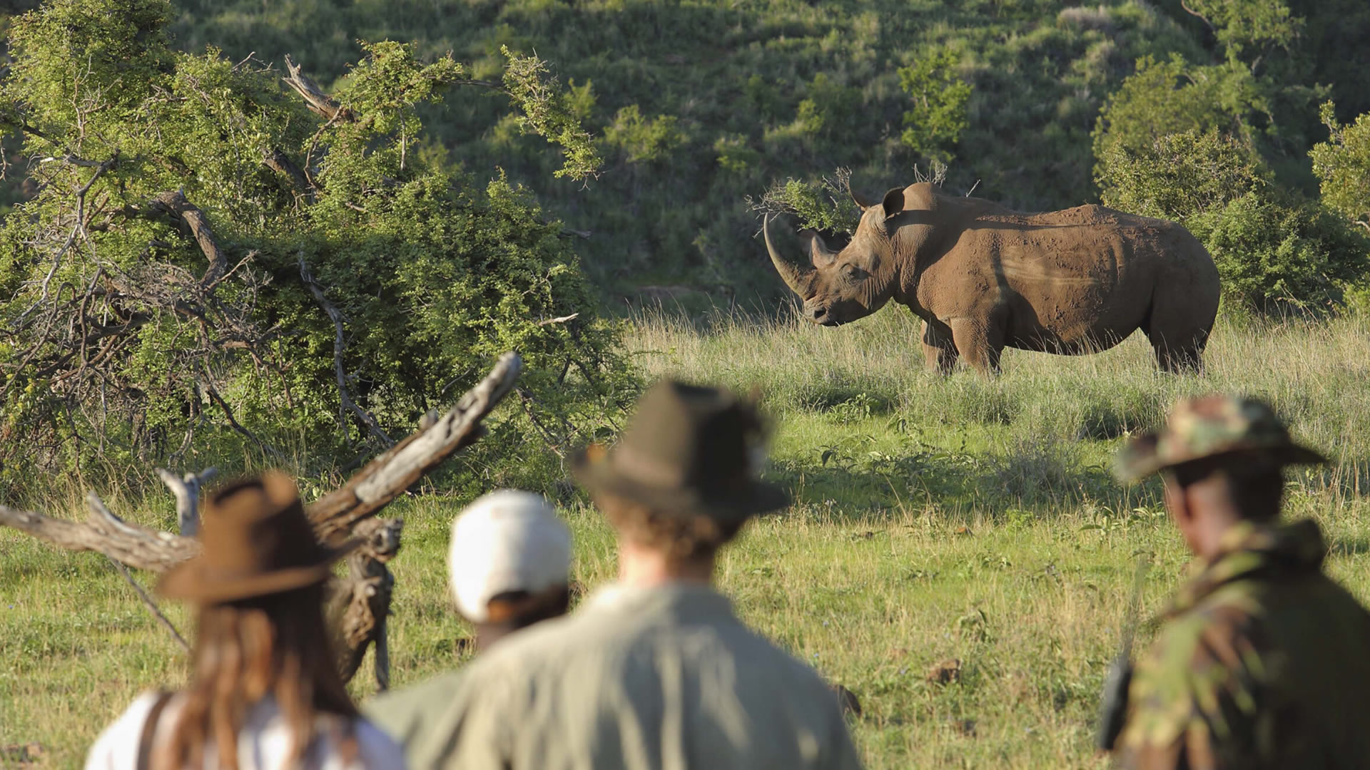 Borana Wildlife Conservancy