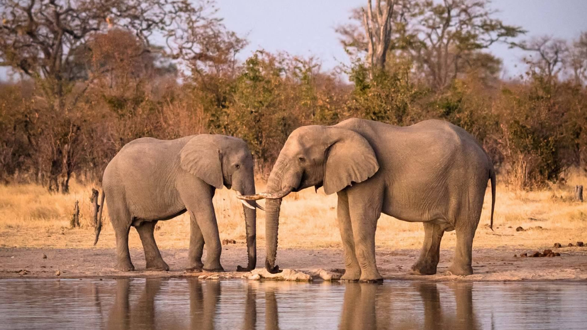 Hwange National Park