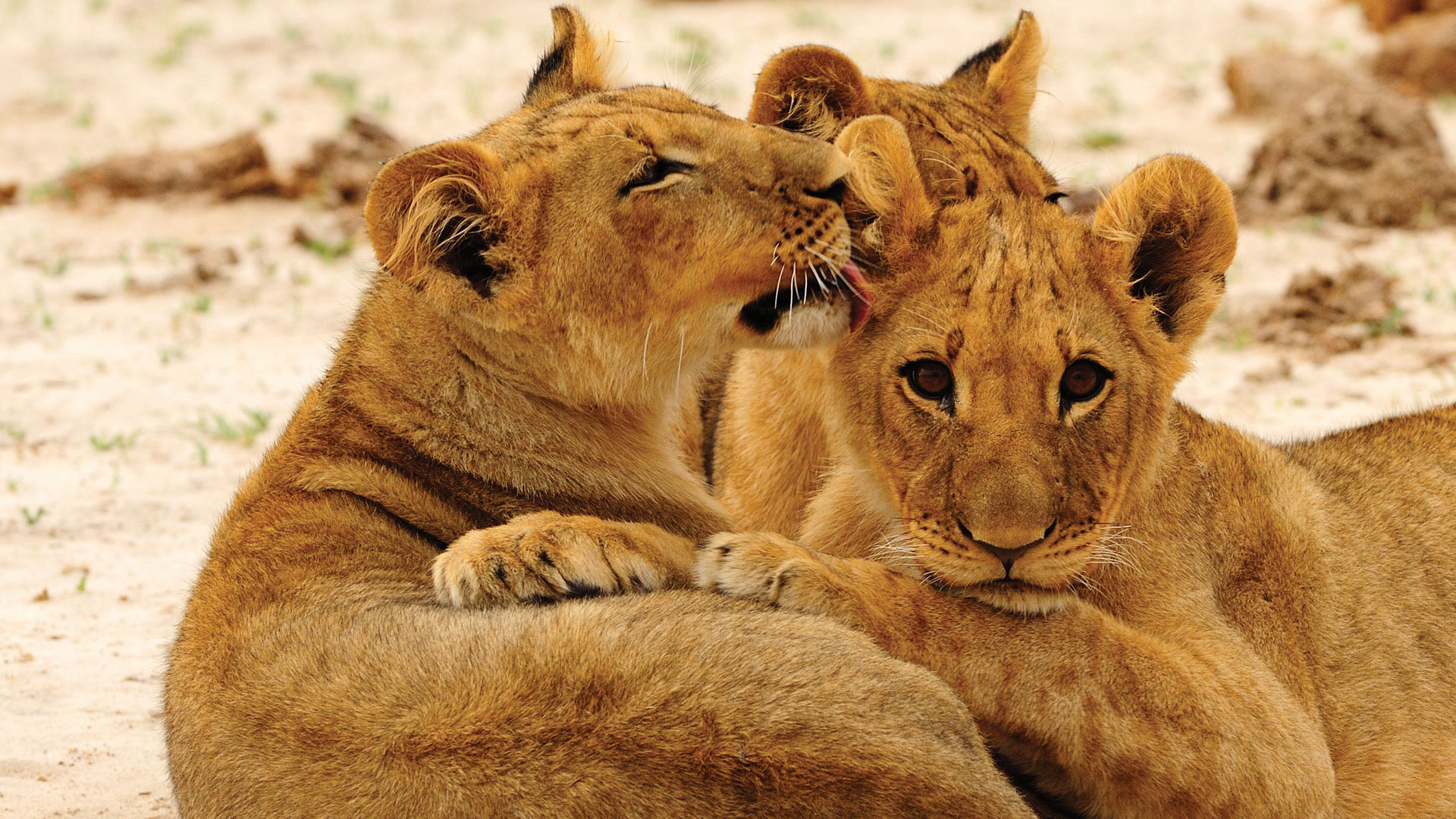 Hwange National Park