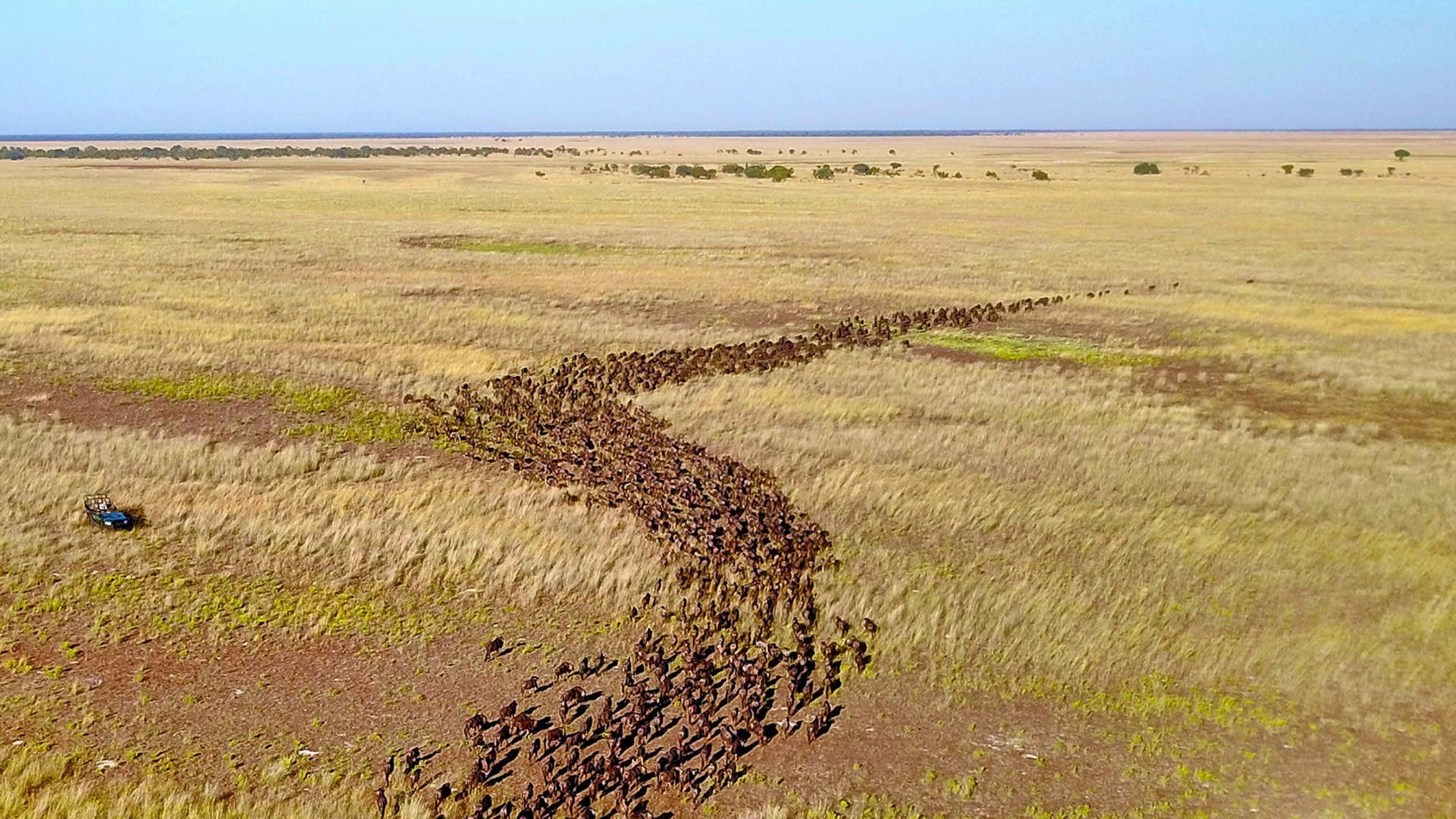 Liuwa Plain National Park
