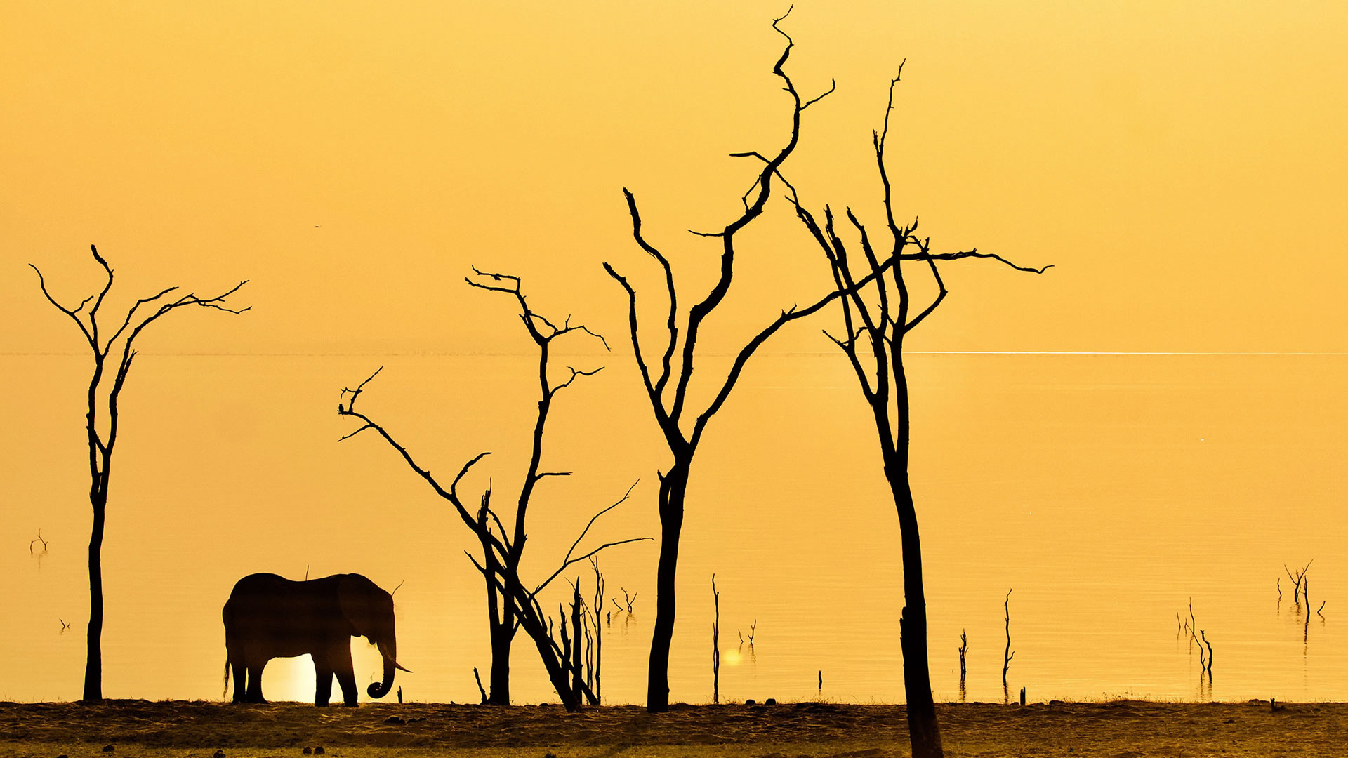 Matusadona National Park