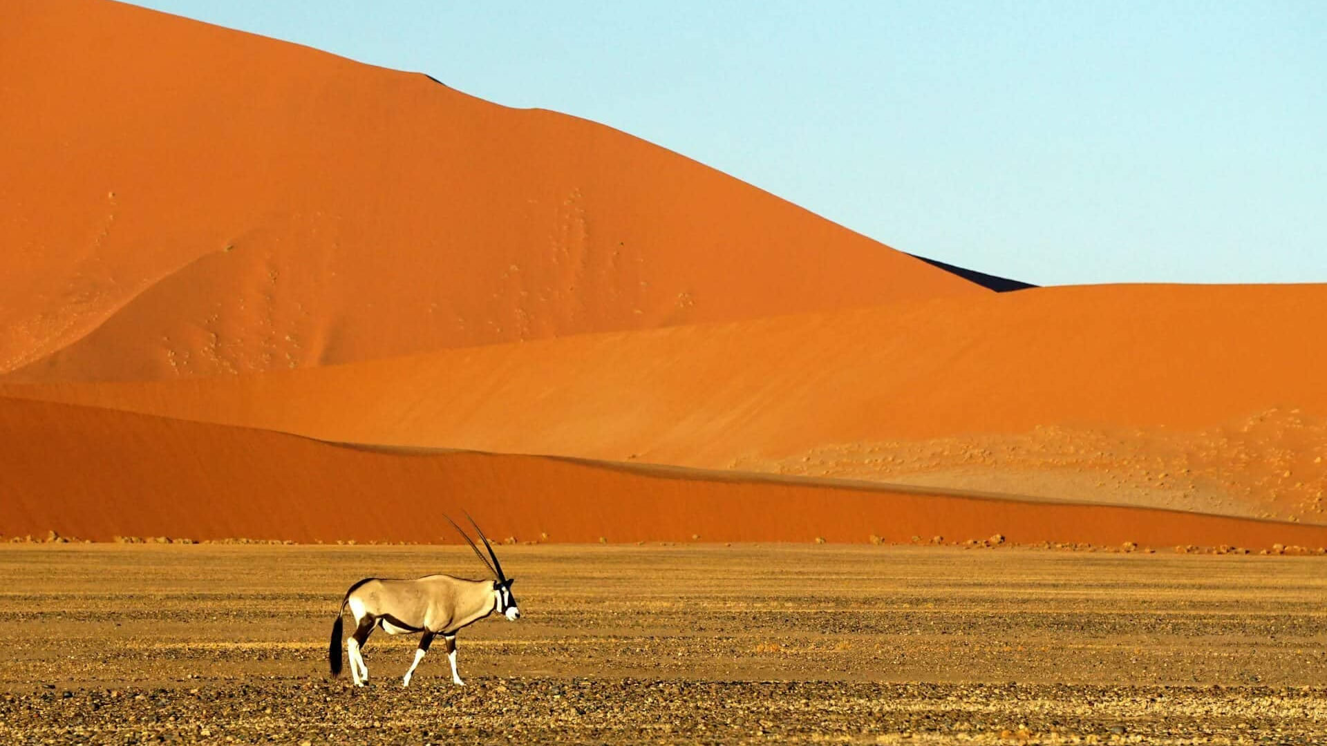 Namib Naukluft National Park