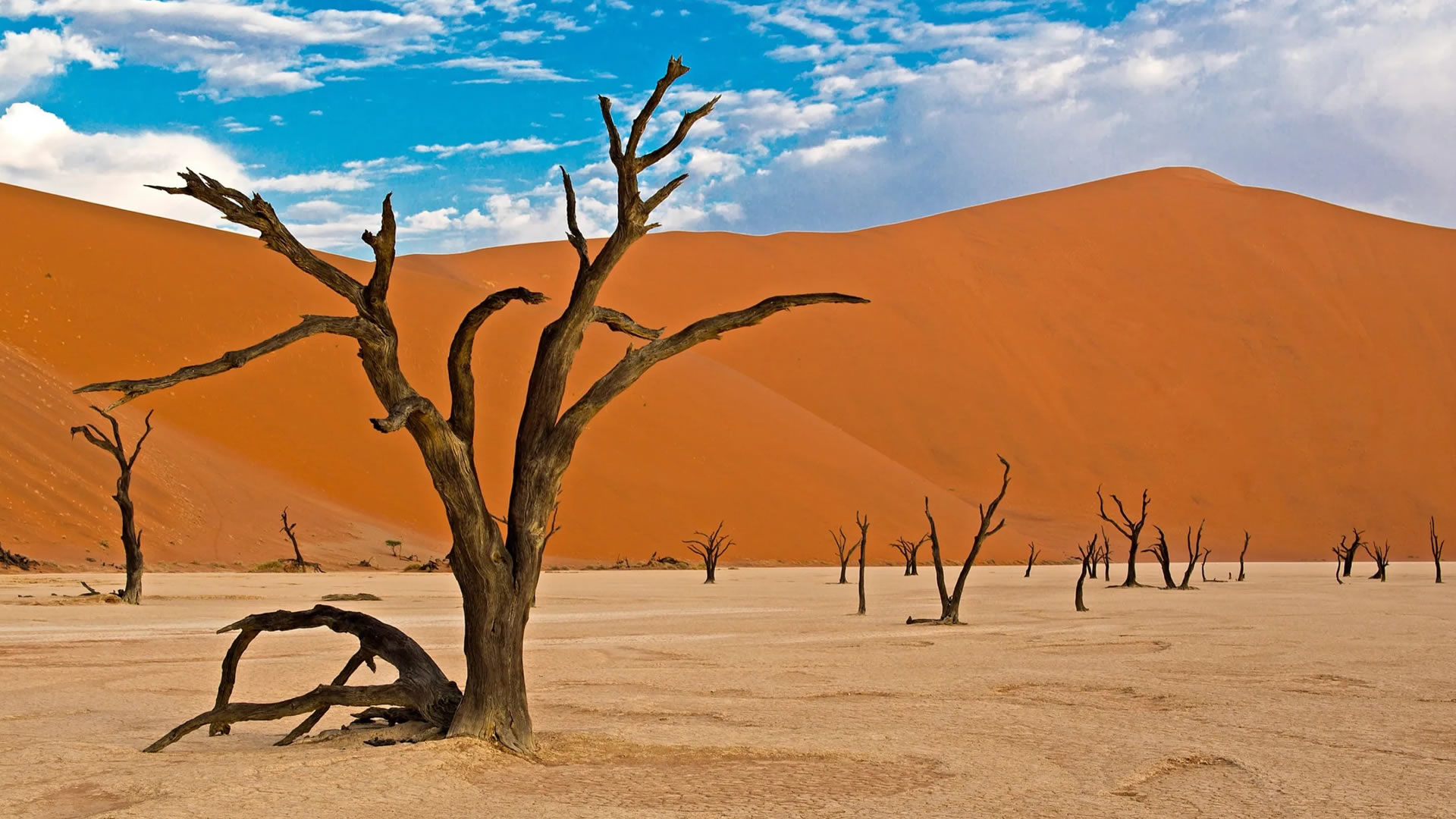 Namib Naukluft National Park