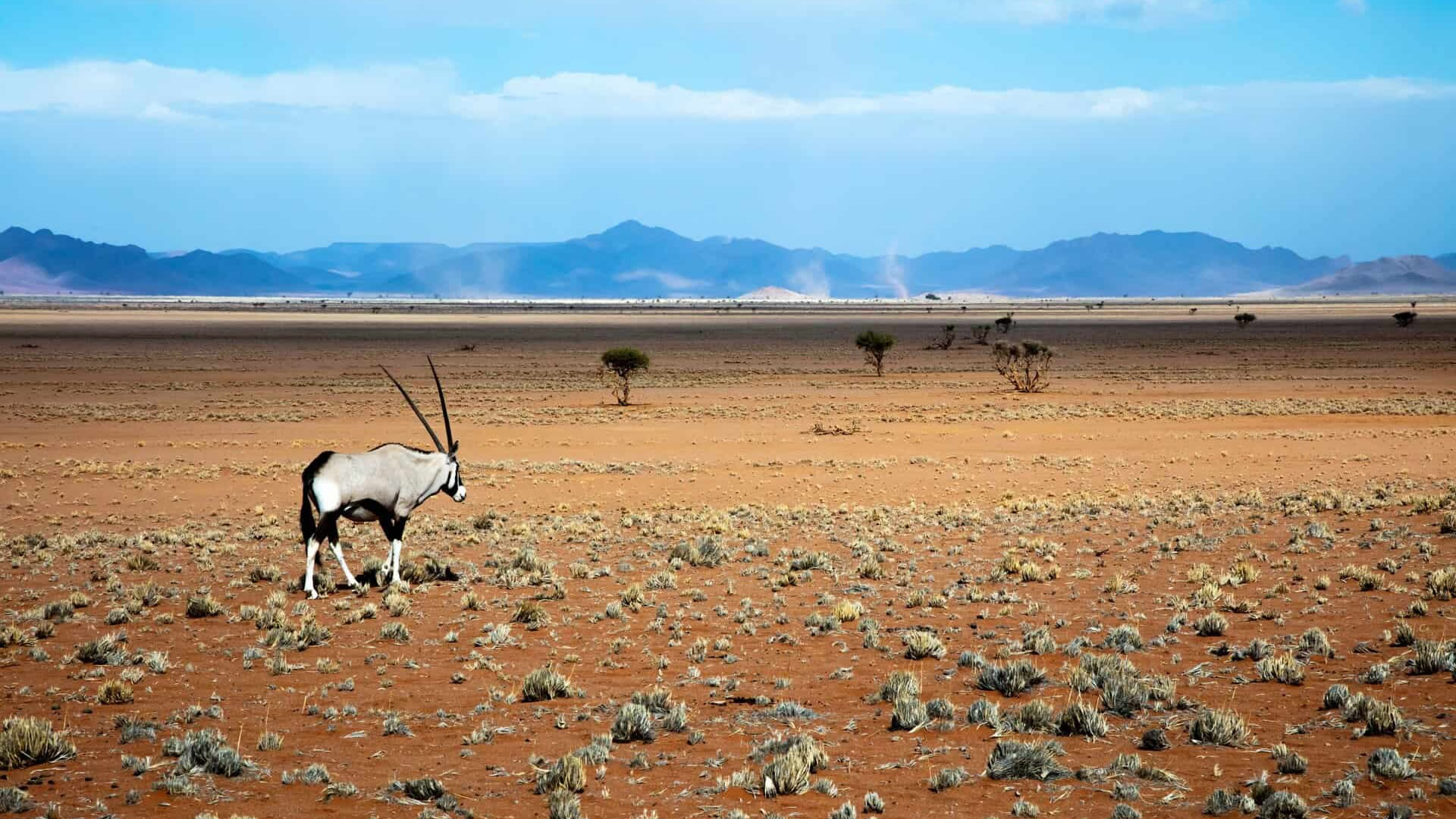 Namib Naukluft National Park