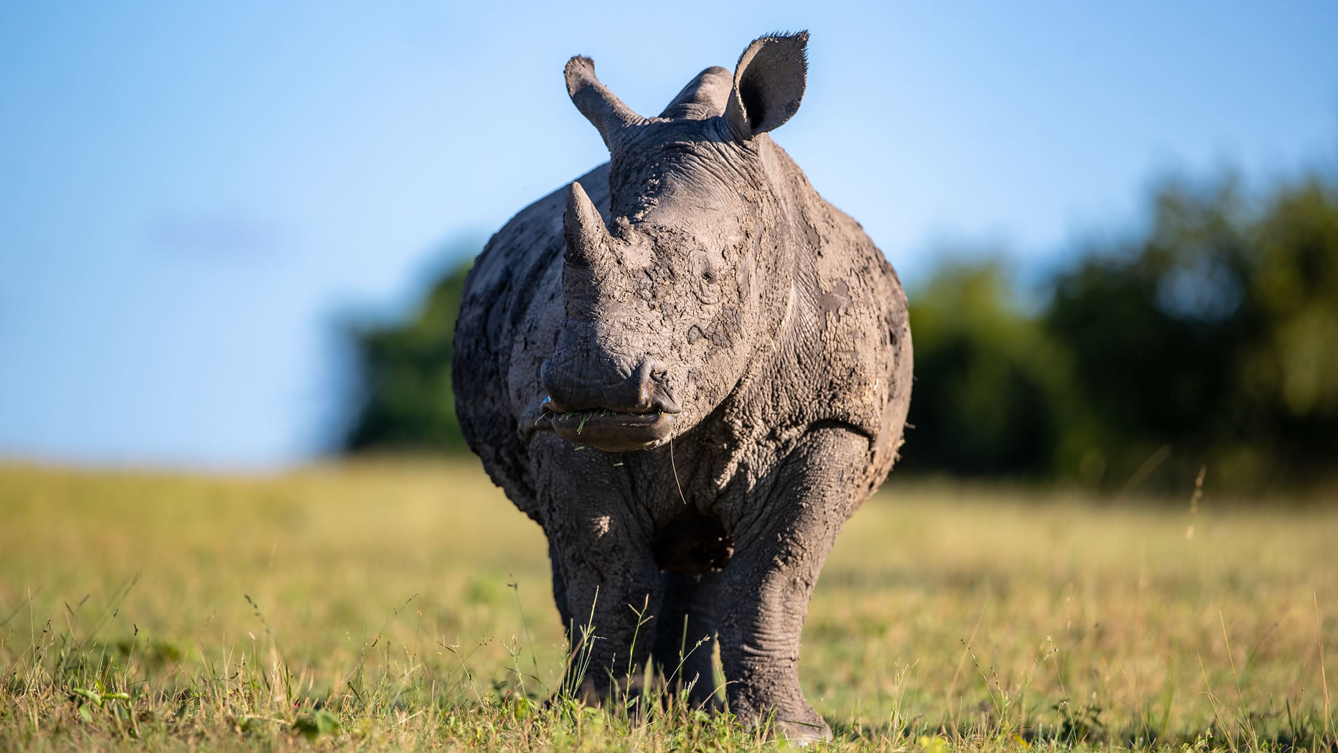 Ngorongoro Conservation area