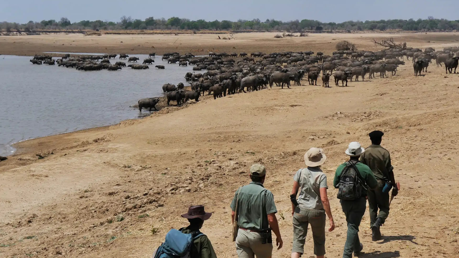 North Luangwa National Park