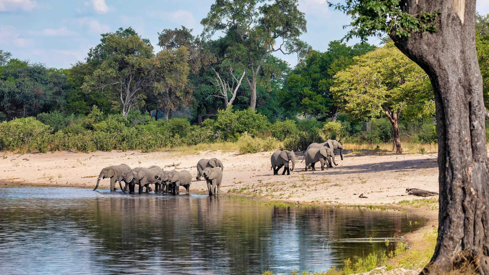 Zambezi Region
