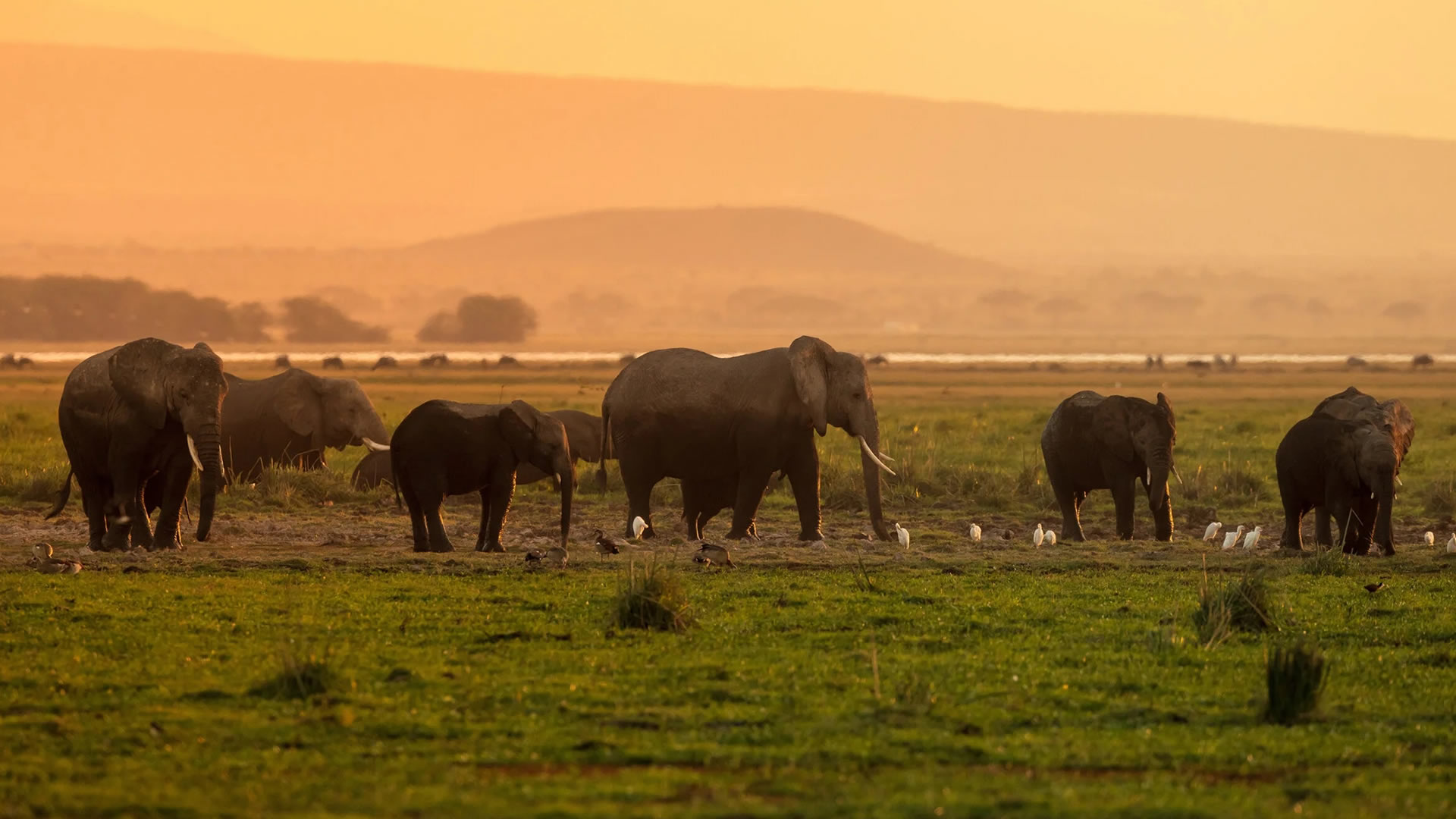 Zambezi Region
