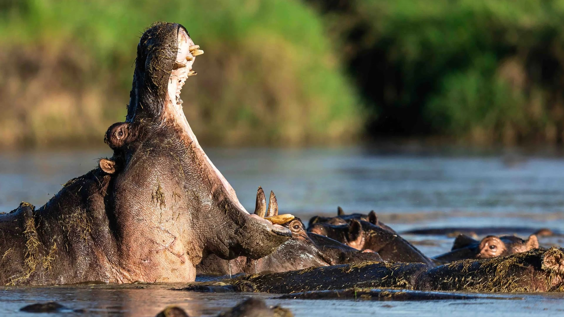 Zambezi Region