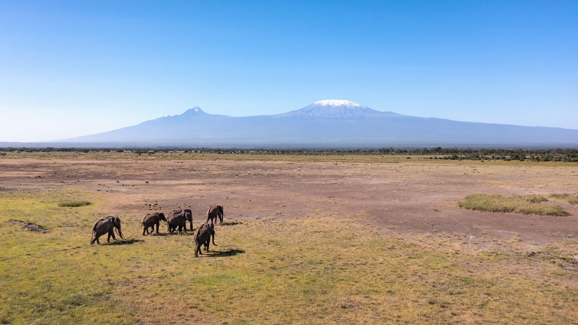 6 Days Luxury Wildlife Highlights