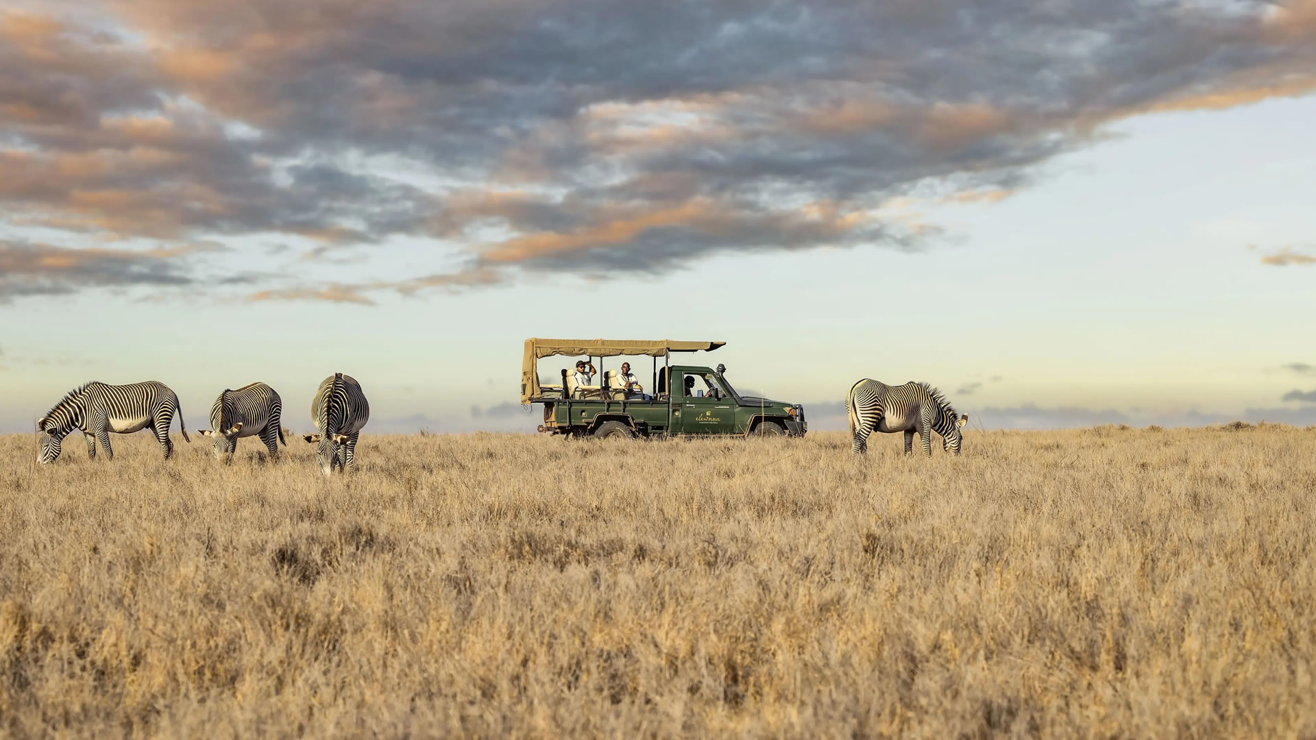 8 Days Big Five Sanctuary Experience